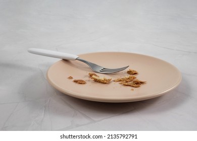 Plate With Bread Crumbs. Fork Beside.