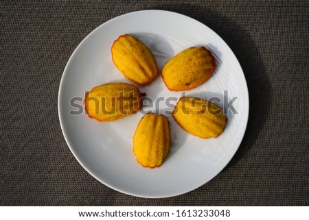 A plate of French madeleine cakes Stock photo © 