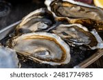 Plate with fresh live raw oysters seashells with citron, bread, butter and white wine served at restaurant in oyster-farming village, Arcachon bay, Gujan-Mestras port, France