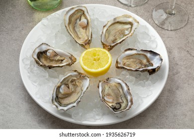 Plate With Fresh Raw Open Pacific Oysters, Japanese Oyster On Ice As Appetizer Or Snack