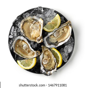 Plate Of Fresh Raw Oysters Isolated On White Background, Top View