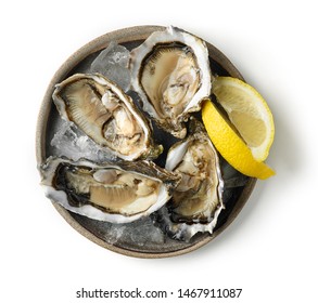 plate of fresh raw oysters isolated on white background, top view