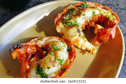 Plate of freshly grilled spiny lobster tails