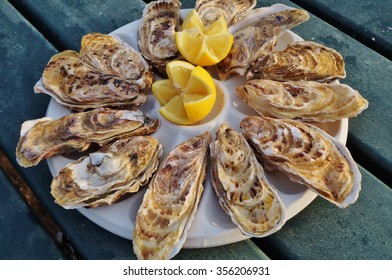 Plate Of Freshly Shucked Oysters In Brittany, France