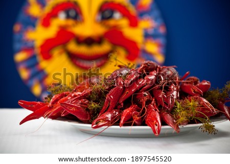 A plate full of cooked crayfish, topped with dill. Swedish tradition. Crayfish party. Studio photo with colorful background. Selective focus on object. Stock foto © 