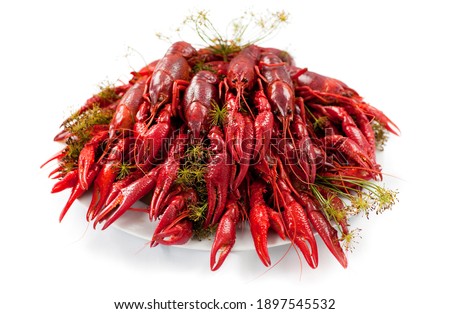 A plate full of cooked crayfish, topped with dill. Swedish tradition. Crayfish party. Studio photo isolated on white background. Selective focus on object. Foto d'archivio © 