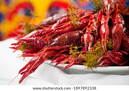 A plate full of cooked crayfish, topped with dill. Swedish tradition. Crayfish party. Studio photo with colorful background. Selective focus on object.