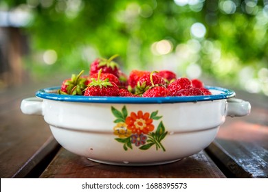 Plate with group of ripe, delicious strawberry on a brown wooden table. Selective focus. Shallow DOF. Blurred natural background