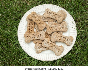 A plate of home made dog biscuits with the word Woof on them sits on the lawn outside (home made - not trademarked or logo) - Shutterstock ID 1111094051
