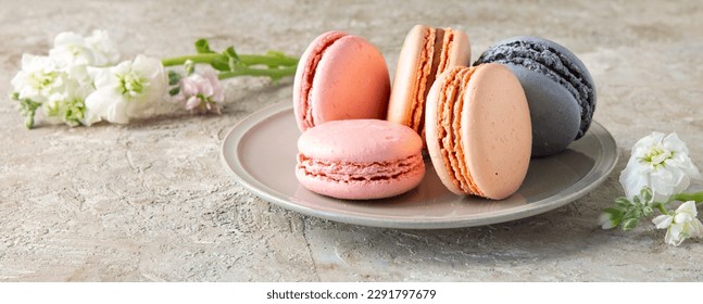 plate with macaroons on light table