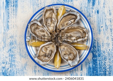 plate of oysters fresh seafood healthy meal on the table copy space food background rustic top view pescatarian diet