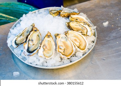 Plate of oysters in a market of Nice, France