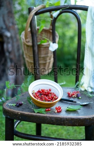 Similar – Image, Stock Photo Bowl full of ripe cherries in the sunlight