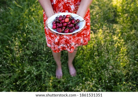 Image, Stock Photo Young girl picking cherries in the garden