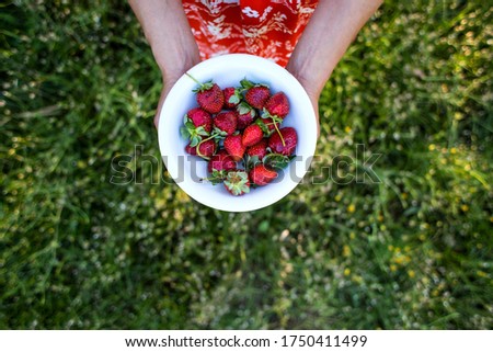 Similar – Foto Bild Pick juicy red strawberries