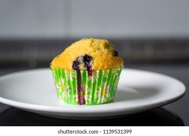 A Plate With A Single Blueberry Muffin Close Up