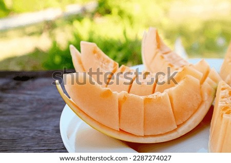 Plate of Slices of Juicy Fresh Ripe Cantaloupe Melon on the Garden Table