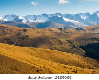 Plateau Assy In Kazakhstan, Central Asia