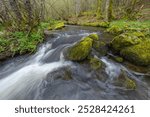 Plateau des Grilloux, Thousand Ponds Plateau (Plateau des Mille etangs), Haute Saone, Bourgogne-Franche-Comte, France