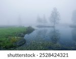 Plateau des Grilloux, Thousand Ponds Plateau (Plateau des Mille etangs), Haute Saone, Bourgogne-Franche-Comte, France