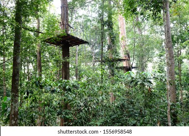 A Platform In The Park Used For Flying Fox Activity.