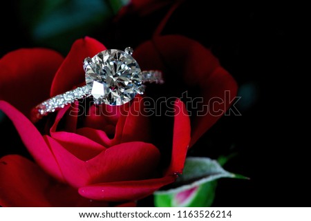 Platinum Diamond Ring On Red Rose