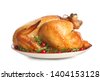 thanksgiving turkey isolated