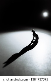 The play of light and shadow.