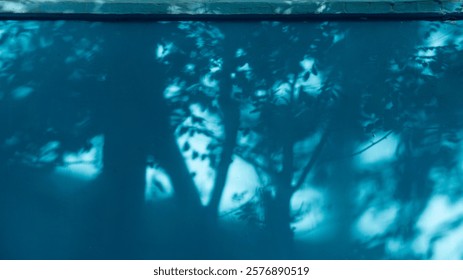 A play of light and shadow creates an abstract pattern of tree branches on a vibrant blue wall.