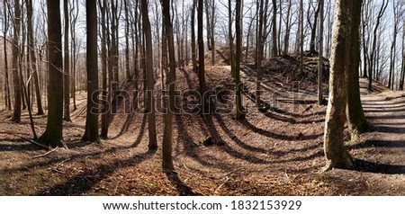 Similar – forest stage Environment