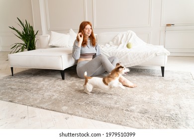 Play Time With Dog Jack Russel Terrier Weekend. Crazy Funny Active Pet Running Jumping With Beautiful Young Ginger Haired Girl Sitting On Floor In White Light Living Room. Grey Comfortable Clothes 