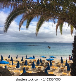 Imágenes Fotos De Stock Y Vectores Sobre Lanzarote Playa