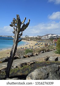 Imágenes Fotos De Stock Y Vectores Sobre Lanzarote Playa