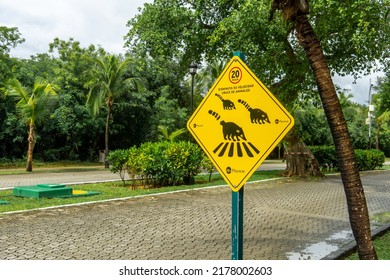 Playa Del Carmen, Quintana Roo, Mexico - February 07.2022 Road Sign In The Forested Area. Sign In Spanish 