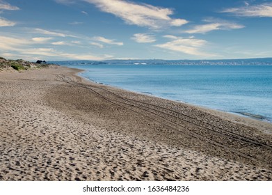 Playa Del Pinet In This Beach You Can Leave The Car Next To The Beach It Is Not Crowded With People  Quiet Beach  Fine Sand Ideal For A Walk Along The Shore  Until You Get Tired