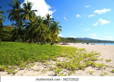 Playa Samara; Nicoya Pennisula, Costa Rica
