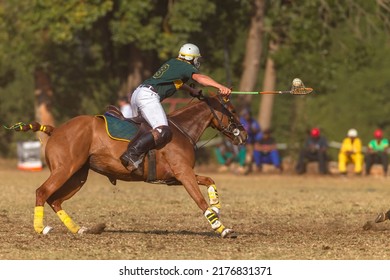 Player horse pony rider unrecognizable carries ball with racket off the ground action play at polo-cross game.