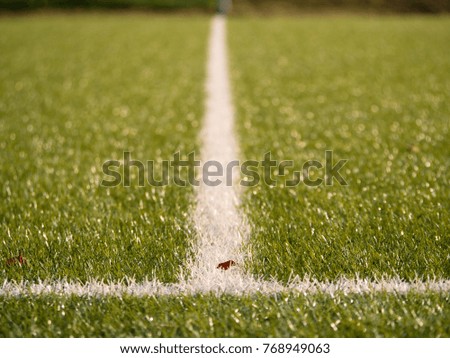 Playfield border. Closeup view to white lines on  football playground. Detail of a of white lines in a soccer field. 