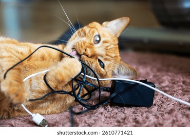 A playful cat is having fun with a confusing bunch of wires on the floor