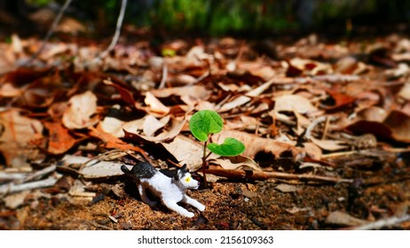 Playful Dog Hiding Under The Shade Of A Seedling 