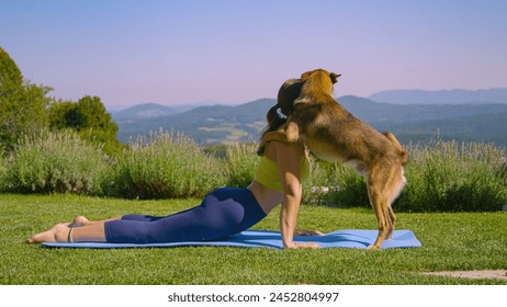 Playful dog jumped on a young lady doing yoga stretches outside in the garden. Woman tries to relax and exercise to strengthen her body while her naughty brown doggo distracts her and wants to play. - Powered by Shutterstock