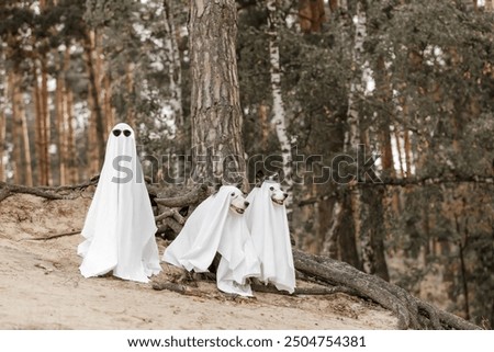 Playful Dogs with owner in Ghost Costume for Halloween in Autumn Forest