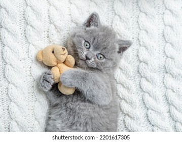 Playful Fold Kitten Hugs Favorite Toy Bear Under White Warm Blanket On A Bed At Home.Top Down View