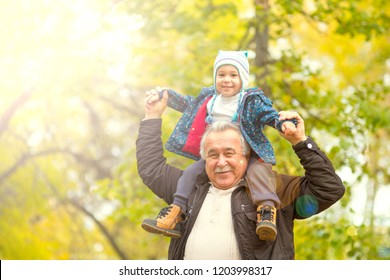 Playful Grandfather Spending Time With His Grandson In Park On Sunny Day