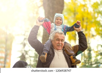 Playful Grandfather Spending Time With His Grandson In Park On Sunny Day