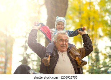 Playful Grandfather Spending Time With His Grandson In Park On Sunny Day