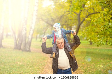 Playful Grandfather Spending Time With His Grandson In Park On Sunny Day