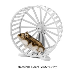 A playful hamster exercises energetically in a white wheel on a white background