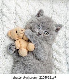 Playful Kitten Hugs Favorite Toy Bear Under White Warm Blanket On A Bed At Home.Top Down View