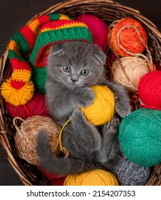 Playful kitten wearing warm knitted hat holds ball of wool inside a basket on clews of thread. Top down view